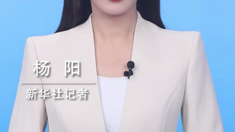 数据湖与数据仓库：适用场景深度解析
